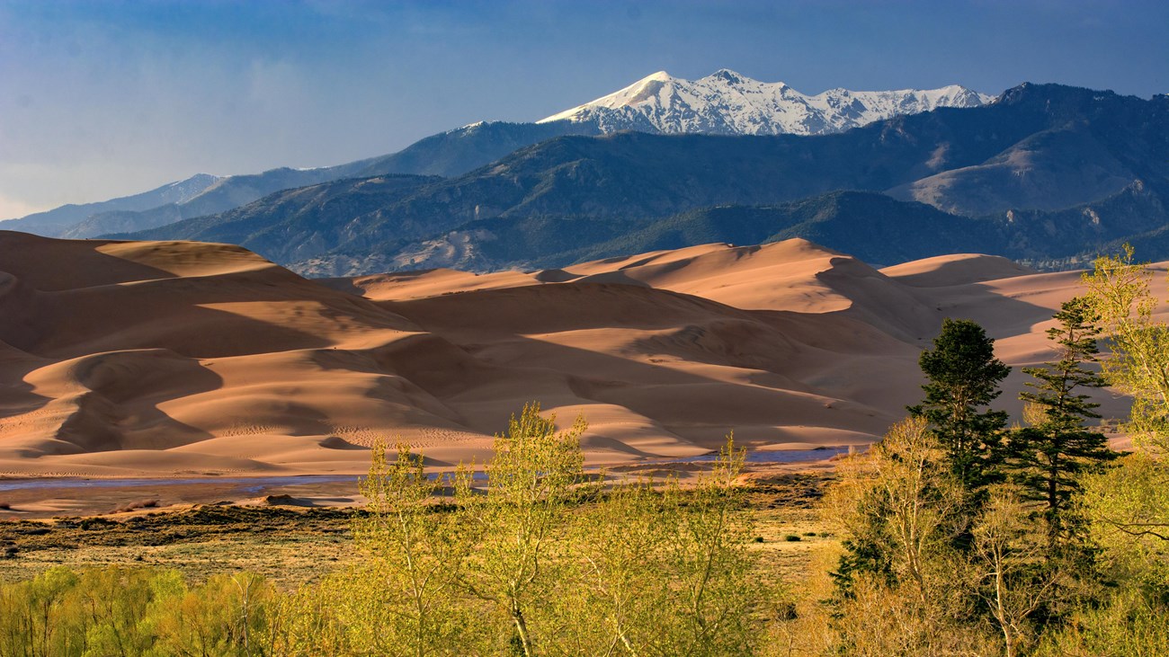 Great Sand Dunes National Park & Preserve